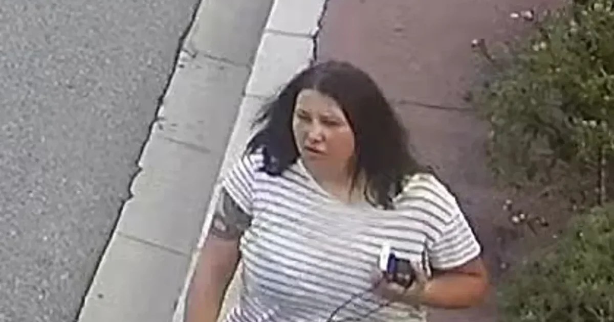 Підозрювані у вбивстві Березовської стверджують, що вона була пов’язана з операціями щодо Шарія